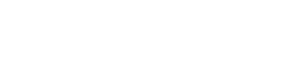 ES_Financiado_por_la_Unión_Europea_RGB_WHITE_Outline
